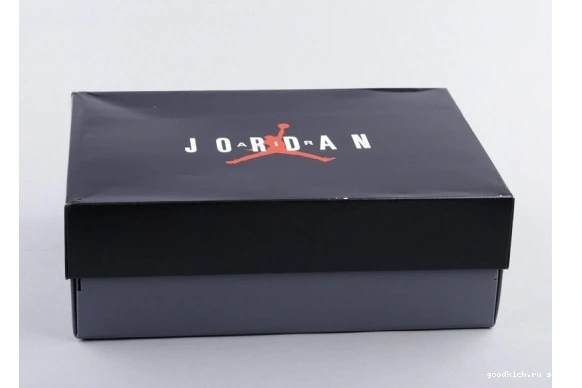 378038-016 Platinum Jordan (GS)  Retro Tint 378038-016 11 0515